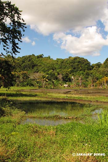 excursions dans l'interieur de Nosy Be